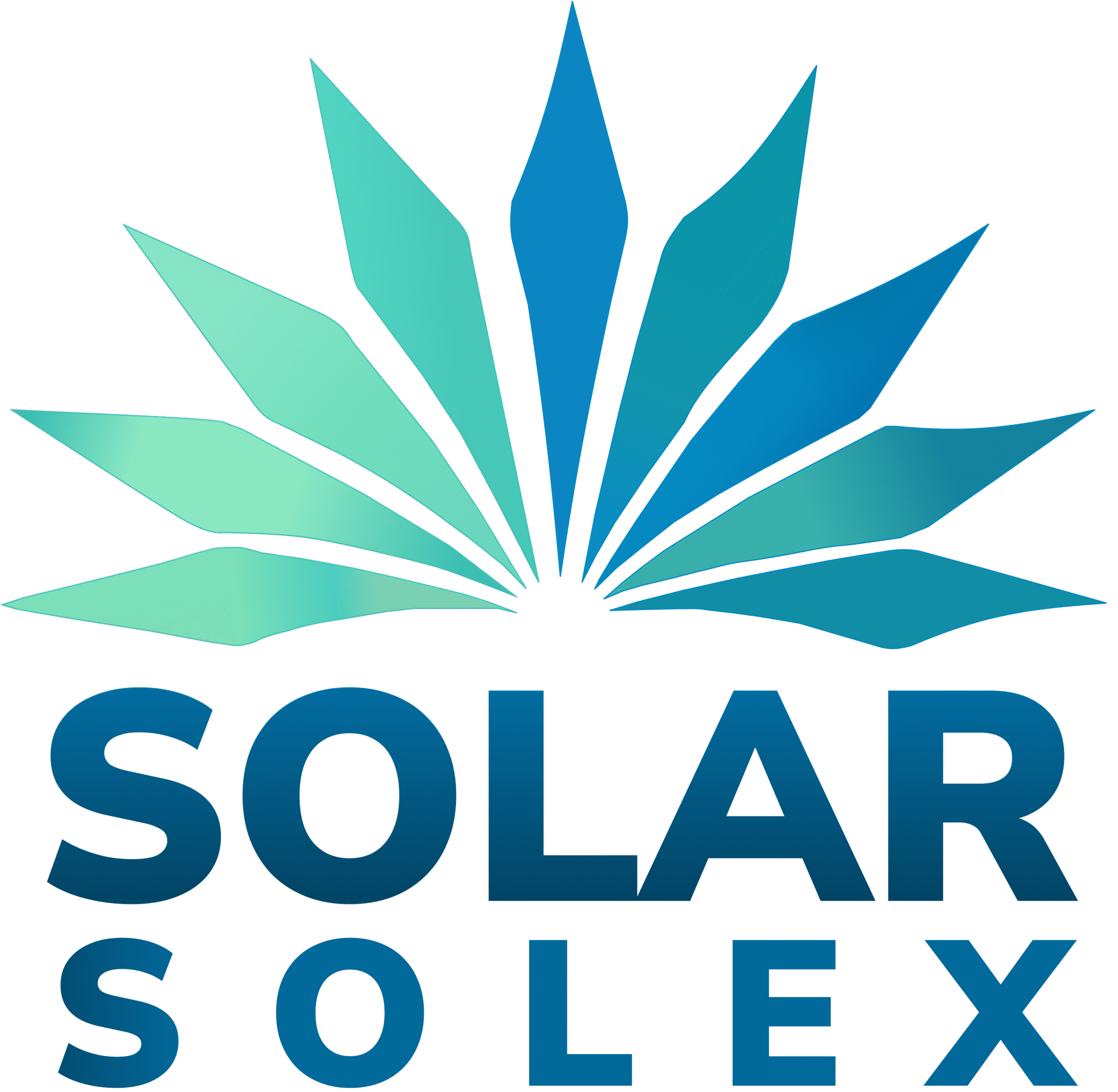 Solar Solex Y Axis Logo